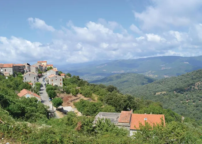 Appartement In With Wifi *